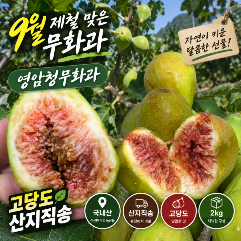 9월 제철 맞은 무화과｜영암청무화과 고당도 산지직송 햇 청무화과 국내산 2kg