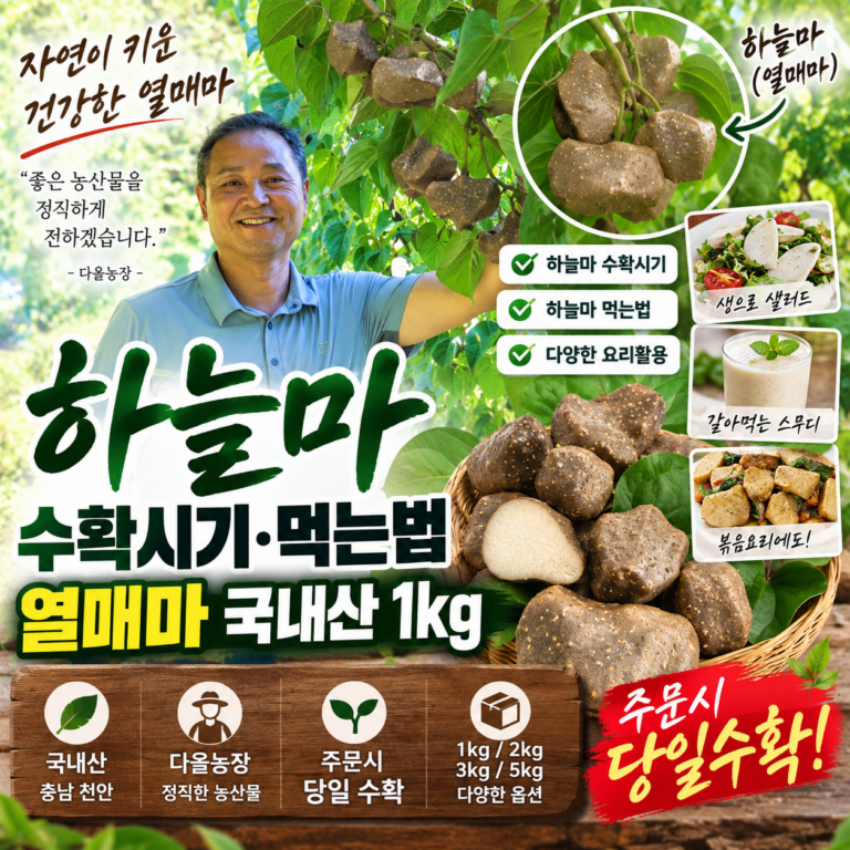하늘마 수확시기·먹는법｜열매마 국내산 1kg 다올농장 당일수확