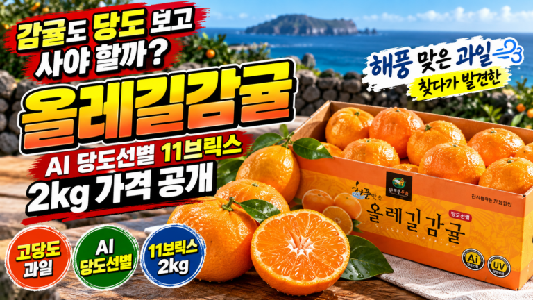감귤도 당도 보고 사야 할까? 해풍 맞은 과일 찾다가 발견한 올레길감귤｜AI 당도선별 11브릭스 2kg 가격 공개