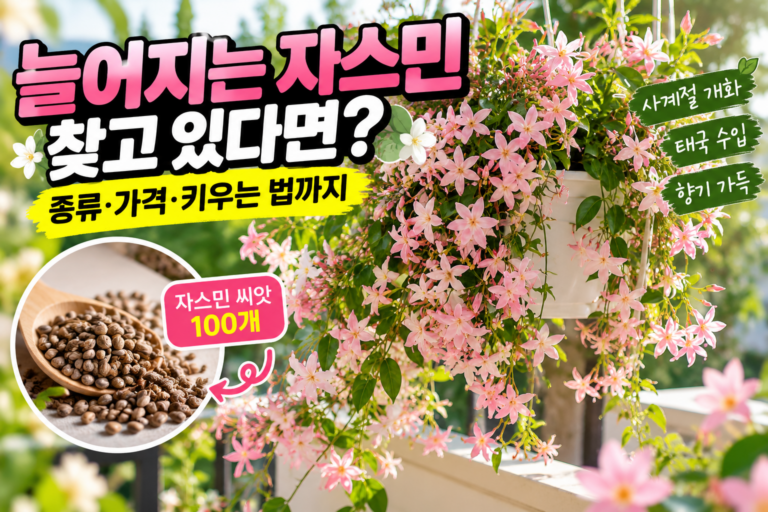 늘어지는 자스민 찾는다면?｜자스민 종류·가격·키우는 법과 씨앗 100개